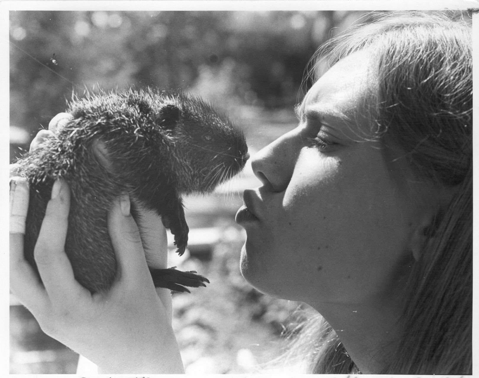 Lincoln Children's Zoo 50th Anniversary